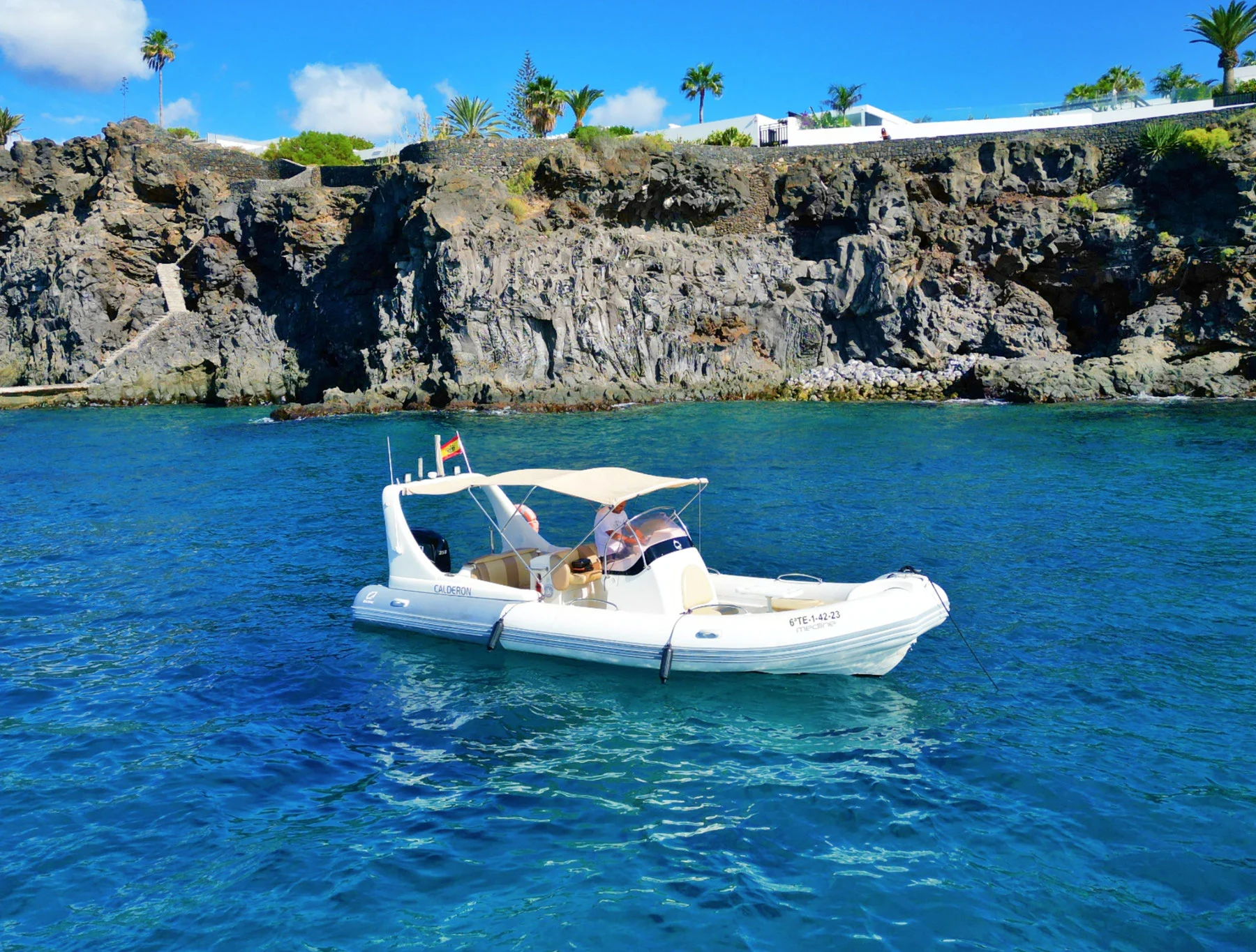 Experiencias marinas de Ocean Friends Tours