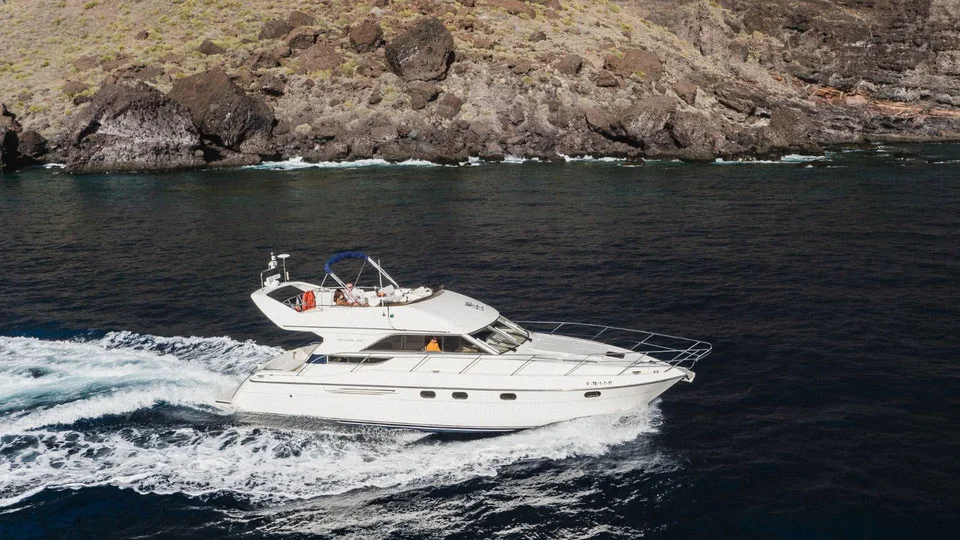 Yate privado Dolphins & Relax