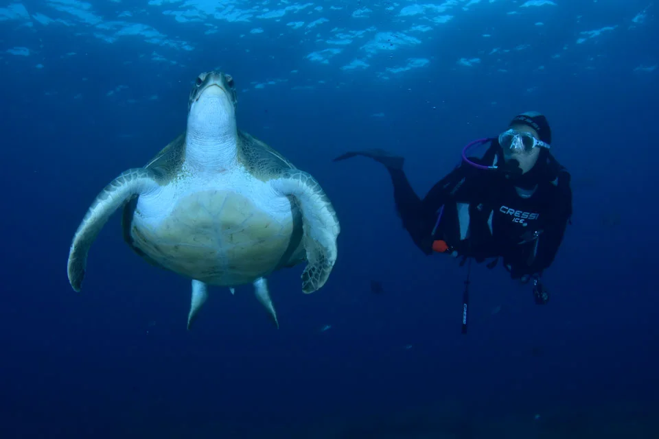 Bautizo en zona de tortugas y rayas