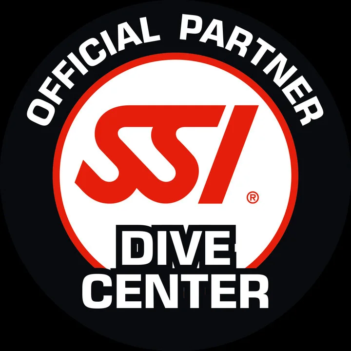 Curso Rescue Diver