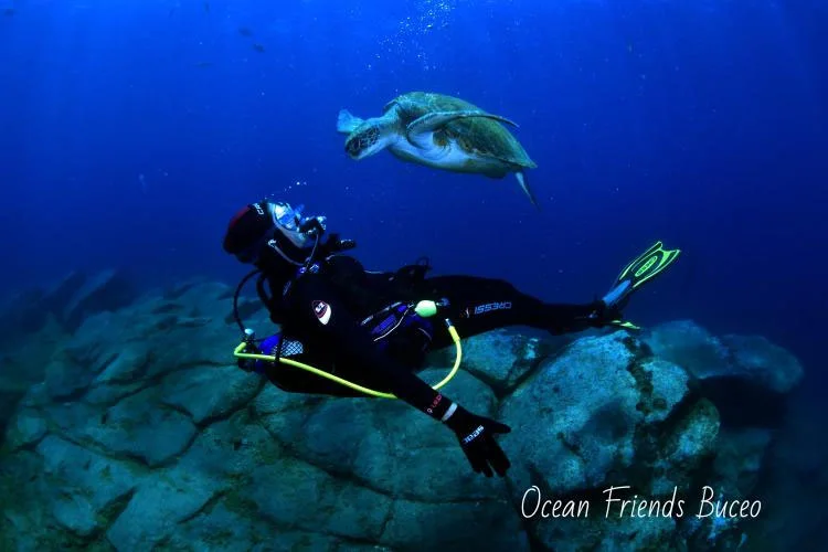 Curso Scuba Diver