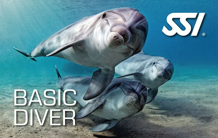 Curso Basic Diver SSI