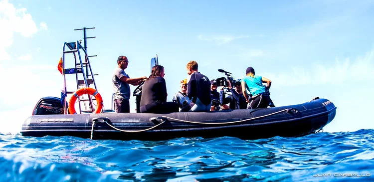 Paseo en barco con snorkel, bebidas y snack
