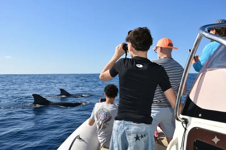 Pasajeros observando cetáceos desde una embarcación