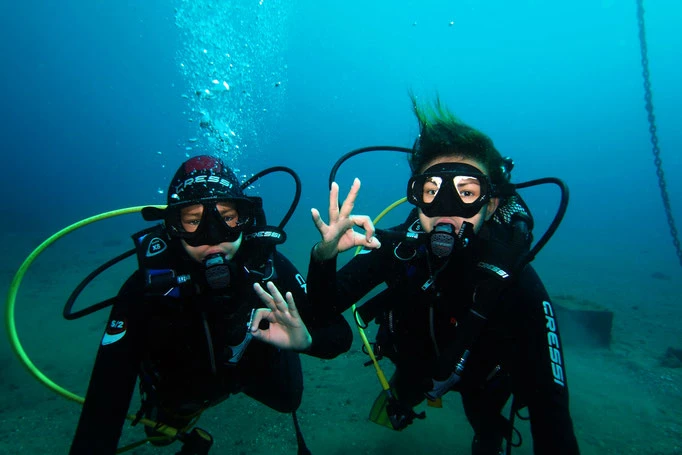 Experiencias marinas de Ocean Friends Tours
