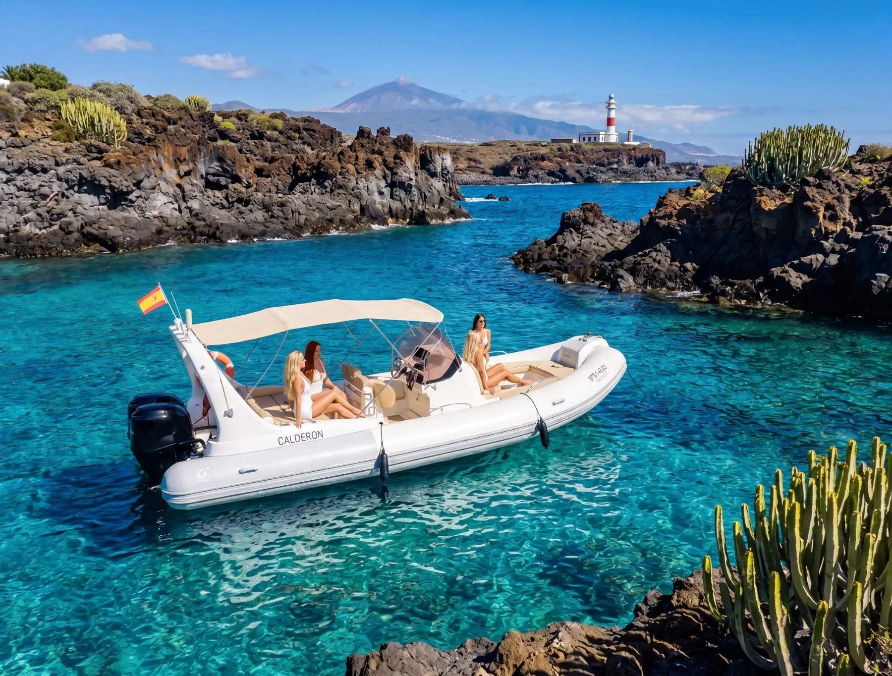 Experiencias marinas de Ocean Friends Tours